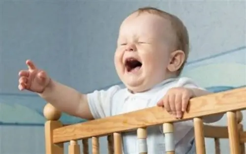 «Немного поплакать» не повредит нашему малышу, утверждают эксперты