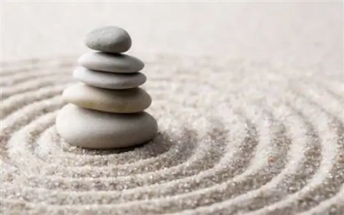 Узнайте все об исцелении формы! Новое лечение психических расстройств