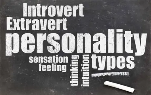 Тест личности: как распознать нарциссов, психопатов, чувствительных людей