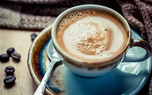 Все, что вы хотите знать о нашем любимом кофе