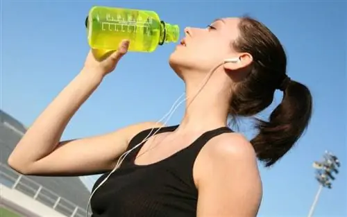 Энергетические напитки: что это такое и как приготовить самостоятельно