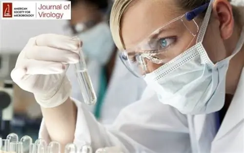 Через 5 лет будет готова «одноразовая глобальная вакцина» от гриппа