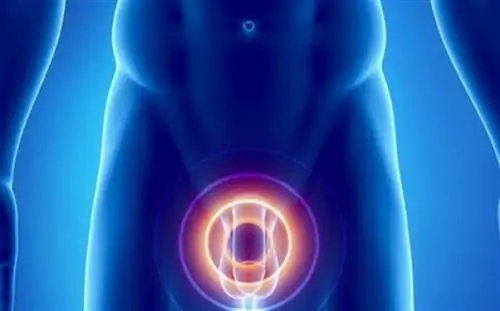 Iatrica: 4500 мужчин бесплатно обследовали простату