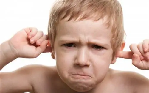 Отит: что вызывает его и как лечить