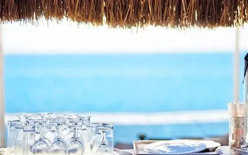 Напиток, очищающий артерии и защищающий печень