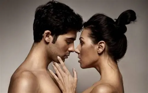 Шесть очень странных вещей, которые возбуждают нас сексуально