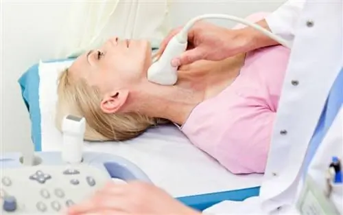 Лечение бескровного стеноза сонных артерий для профилактики инсульта