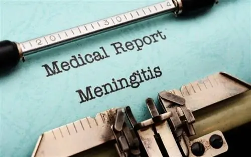 Менингит продолжает представлять угрозу для здоровья населения