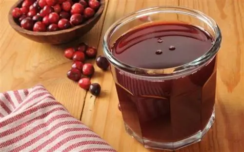 4 напитка, которые очистят ваши почки