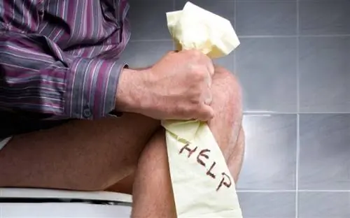 7 причин, вызывающих геморрой