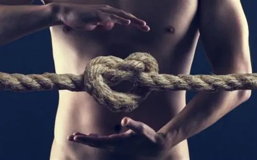 Признаки, указывающие на язву желудка