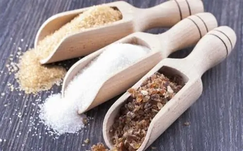 Сахар, недооцененный союзник в нашем рационе