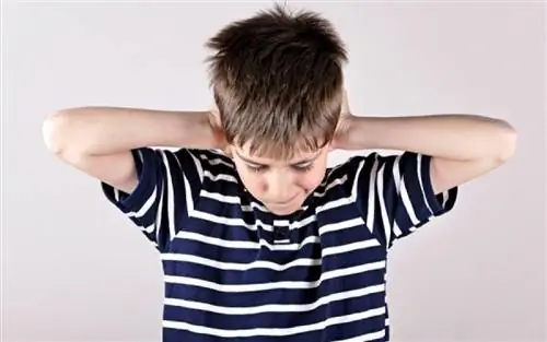 Отопластика у детей. Заставьте их чувствовать себя хорошо