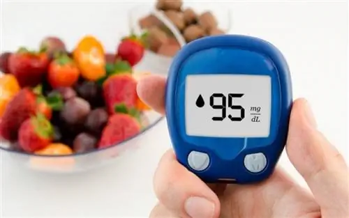 Новое исследование по лечению диабета: 2 основных приема пищи лучше, чем 6 небольших