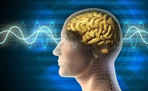 Омега-3 жирные кислоты защищают от болезни Альцгеймера