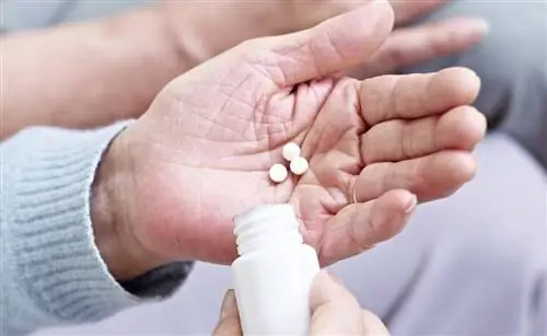 Двигатель экономического развития и рабочих мест от MYSIFA