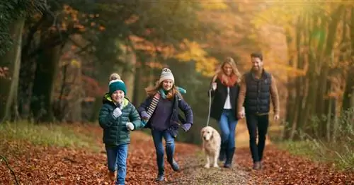 Достаточно всего шести смен, чтобы наслаждаться здоровьем дольше