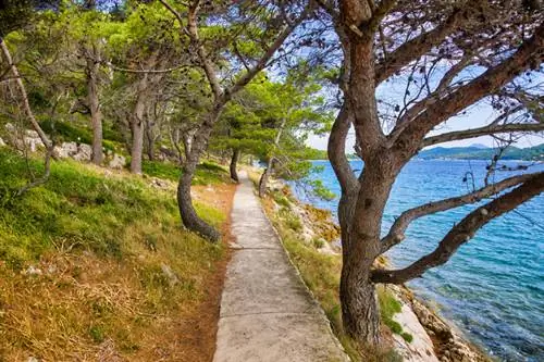 Пешеходная дорожка на острове Лошинь / фото М. Шауэр, Shutterstock