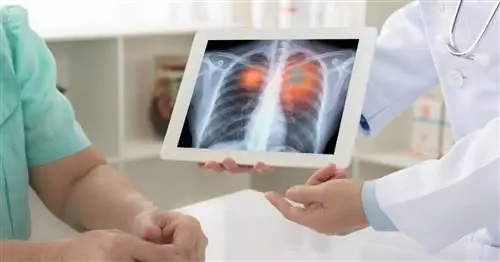 Абсцесс легкого - причины, симптомы, диагностика и лечение