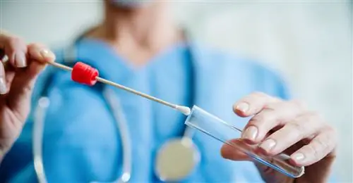 Дрозд пищевода