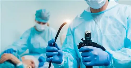 Грыжа пищеводного отверстия диафрагмы - что это такое, симптомы, причины, виды. Как лечить и минимизировать симптомы?