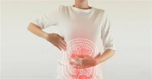 Хроническая диарея - причины, диагностика, лечение