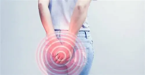 синдром леватора заднего прохода