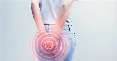 Синдром леватора заднего прохода - причины, симптомы, диагностика, лечение