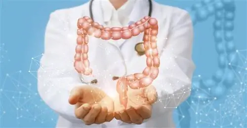 Синдром Золлингера-Эллисона