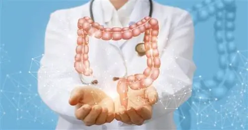 Синдром Золлингера-Эллисона. Первые симптомы резистентных язв