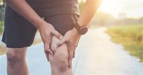 Артроскопия коленного сустава - показания, подготовка и курс. Результаты артроскопии коленного сустава