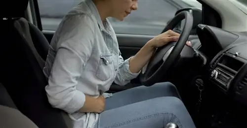 Боль внизу живота