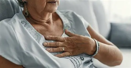 Боль в груди - причины, диагностика