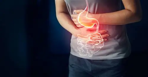 Боль в животе - причины, диагностика, лечение. Когда обратиться к врачу?