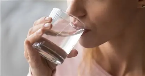 Чрезмерная жажда – о каких заболеваниях она может свидетельствовать?