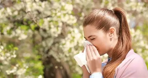 Ринит - что это такое, виды, симптомы, лечение