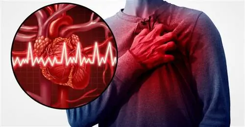 Каков риск сердечного приступа и инсульта? Кардиолог показывает: это оказывает наибольшее влияние