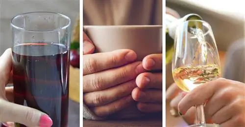 Что пить вечером?