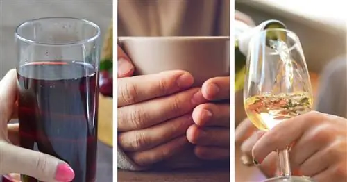 Восемь напитков, которые помогают при проблемах со сном. Обратите внимание на одну вещь