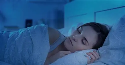 Сколько сна вам нужно, чтобы быть эффективным и здоровым? Илон Маск слишком мало спит