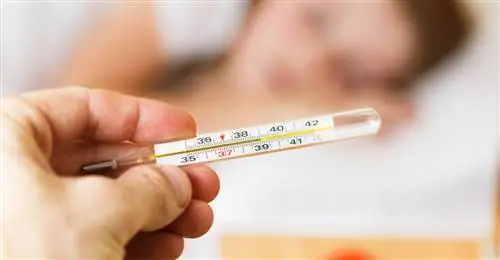 COVID-19 - причины, симптомы, течение, лечение