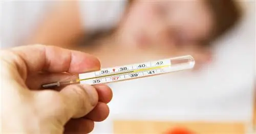 COVID-19 - причины, симптомы, течение, лечение