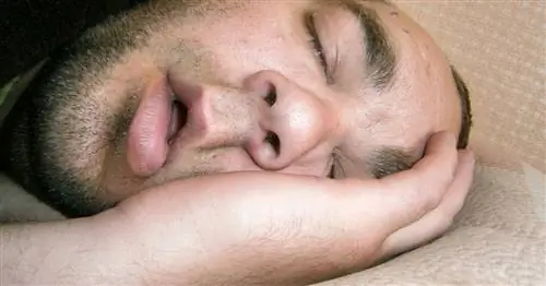 Что происходит, когда вы слишком много спите? Более 9 часов – тревожный сигнал