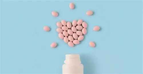 Революционный препарат для сердца?