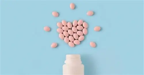 Бисокард - показания, противопоказания, дозировка, побочные эффекты, цена