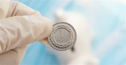 Финансовая профилактика, или как обезопасить себя в случае болезни?