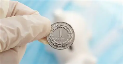 Финансовая профилактика, или как уберечься от болезни?