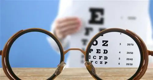 Чем занимается офтальмолог? Диагностика, лечение и профилактика