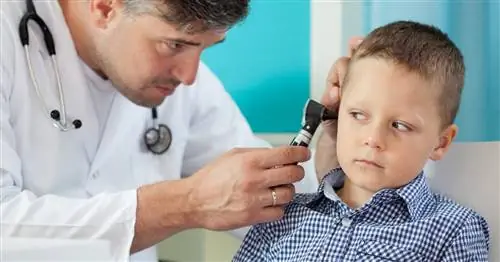 Отоскоп - виды и применение. Какой выбрать для домашнего использования? МЫ ОБЪЯСНЯЕМ