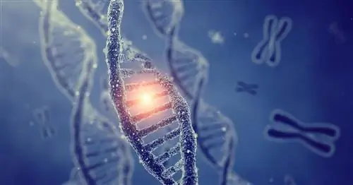 Как разгадать генетическую загадку и эффективно лечить рак?